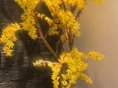 -呷湘厨·鱼汤捞饭·剁椒鱼头·辣椒炒肉(国家会展中心店)