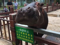 -贵州森林野生动物园