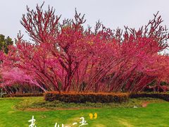 -常州博物馆