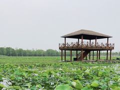 -嘉北郊野公园