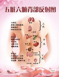 -香薇妮丝女子减肥院