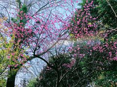 -大雁塔北广场音乐喷泉