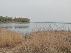 -邢台扁鹊湖阿尔卡迪亚国际度假酒店丨爱琴海餐厅