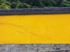 -阿育王寺
