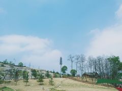 游乐设施-照金红色旅游名镇