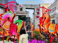 -越秀西湖花市(广州城市广场花卉店)
