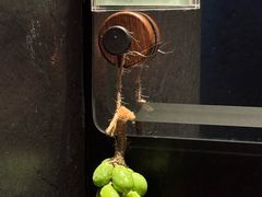 -紫金·越暨·三十年精致诸暨菜(滨江店)