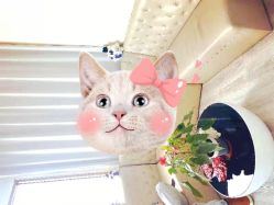 -痘博士天津·全国连锁祛痘机构