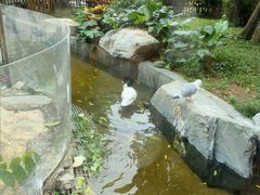-熊猫自助餐厅.萌趣城堡(长隆熊猫酒店)