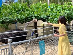 -三亚亚龙湾天域度假酒店