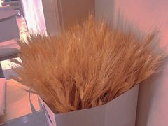 -稀物集咖啡(徽州大道店)