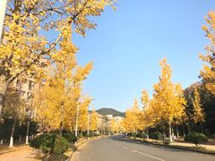 -浙江农林大学(东湖校区)