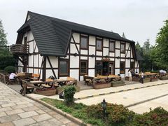 -金山农民画村-枫泾波兰倒置屋