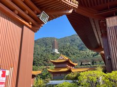 -深圳仙湖植物园