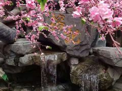 -榕记(番禺总店)