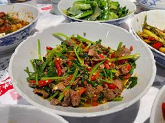 香菜炒牛肉-壹盏灯(惠农店)