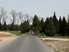 -秦始皇帝陵博物院-丽山园
