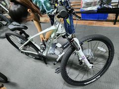 -道路口单车爱瓦士dahon大行