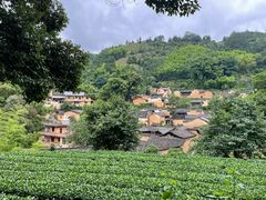 -杨家堂村