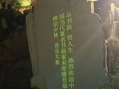 -禅宗少林·音乐大典