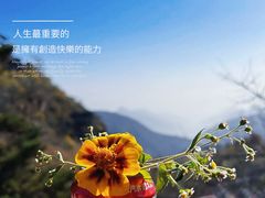 -妙峰山风景名胜区