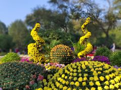 -国家植物园