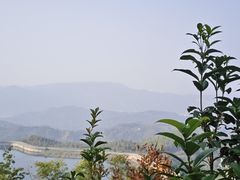 -长沙黑麋峰国家森林公园