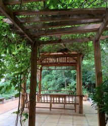 点击看大图 -宝生月子中心(独栋园林·福田店)