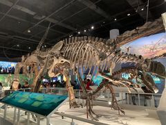 -国家自然博物馆