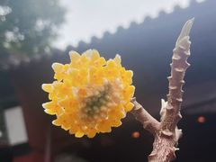 -钱王祠