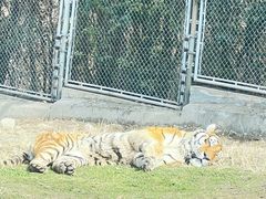 -西安秦岭野生动物园