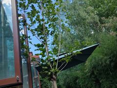 -南宫温泉水世界