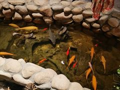 -馬蘭花開(车站大道店)
