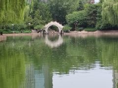 -团结湖公园