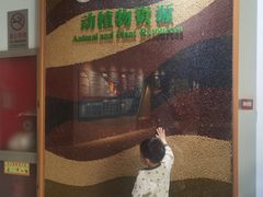 -房山世界地质公园博物馆