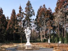 -东平国家森林公园