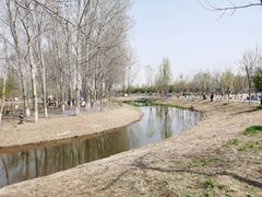 -东郊湿地公园