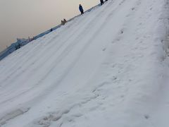 -绿野森林乐园冰雪季