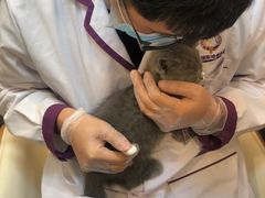 -宠爱国际动物医院·消化内科·心肾内科·ISFM猫友好(望京店)