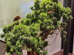 -豫丰汇河南名菜楼(武记餐饮)