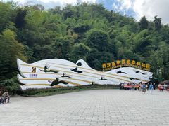 -西双版纳原始森林公园