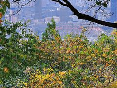 -千佛山风景名胜区