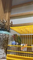 -吾行DIY手工坊(壹方北馆店)