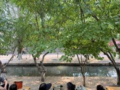 -春风习习