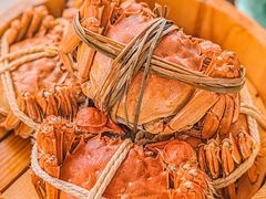 -乡乐园蟹庄·阳澄湖农家乐