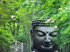 -杭州植物园