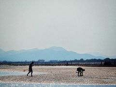 -刘家湾赶海园