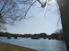 -上海共青森林公园