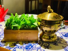 生烫鸡毛菜-卢大鲜鱼头捞饭(美利广场店)