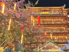 -大佛寺高级素食自助餐厅